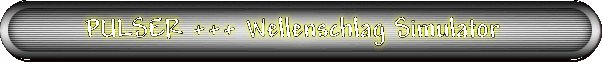 PULSER +++ Wellenschlag Simulator
